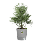 greensense aqua care round 43cm light concrete